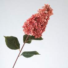 1pc Autumn Long Stem Vintage Hydrangea Artificial Flower, Wedding Scene Decoration Aisle Guide Faux Flower Photography Prop - Multicolor - View 4