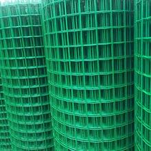 10M Welded Wire Mesh Yard Fence Aviary Rabbit  Fence - 91CMX1000CM - View 3