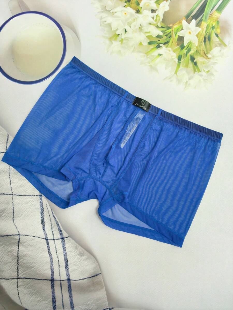 DomiGe 1pc Sexy Soft Sky Blue Mesh Fully Transparent Low Waist Men's Boxer Briefs - Blue - View 1