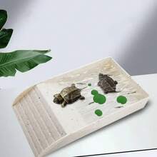 Terrariums - Army Green - View 6