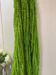 Green Hanging Rice