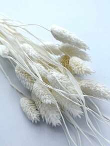 25/50/100Pcs Artificial Gem Grass Flowers, Artificial Plants, Multi-Color Options, Suitable For Bohemian Style Floral Arrangements, Handmade DIY Crafts, Home/Kitchen Decor, Wedding Backdrop, Christmas, Thanksgiving Decoration, Handmade Wreath Making. - White - View 6