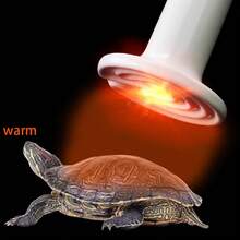 Reptile & Amphibian Habitat Lighting & Heating - Beige - View 4