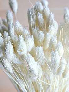 25/50/100Pcs Artificial Gem Grass Flowers, Artificial Plants, Multi-Color Options, Suitable For Bohemian Style Floral Arrangements, Handmade DIY Crafts, Home/Kitchen Decor, Wedding Backdrop, Christmas, Thanksgiving Decoration, Handmade Wreath Making. - White - View 5