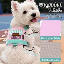 Summer Lightweight Dog Harness, Embroidered Pocket Design, Breathable Mesh Material, Soft Waterproof Fabric, Can Be Worn After Grooming, No Friction Pain, Equipped With Metal Buckle And Anti-Burst Pull Handle, Suitable For Small/Medium Dogs. Non-Chafing Leash - Beige - View 9
