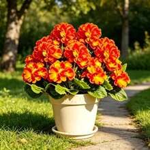 5pcs Outdoor Autumn Orange Geranium - Featuring Vibrant Autumn Orange Flowers And Green Leaves, Perfect For Indoor And Outdoor Decoration, Garden, Patio, Home Center Decor, Wedding And Engagement Occasions, Artificial Outdoor Flowers, Wedding Decoration, Vibrant Floral Arrangement, Realistic Petal Design, Decorative Foliage, Durable Plastic Flowers, Simulated Floral Display, Event Planner - Multiple Styles - View 7