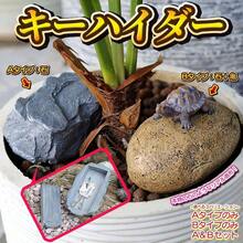 キーボックス 隠し金庫 鍵 ケース セキュリティボックス 貴重品ボックス 石 Aタイプ - 石 + 亀 Bタイプ - チェックする 3