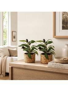 1/3/4/5/6pcs Green Plant Stem Artificial Olive Tree Branches, Home Vase Wedding Decoration - Olive Potted Plants - View 6