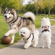 Summer Lightweight Dog Harness, Embroidered Pocket Design, Breathable Mesh Material, Soft Waterproof Fabric, Can Be Worn After Grooming, No Friction Pain, Equipped With Metal Buckle And Anti-Burst Pull Handle, Suitable For Small/Medium Dogs. Non-Chafing Leash - Beige - View 4