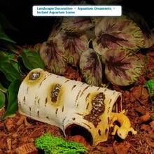Reptile Cleaning Tools - 1 - View 2
