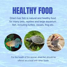 Amzey 2.3 Oz Dried River Fish - Natural Food For Turtles, Terrapins, Reptiles And Large Tropical Fish - ColorB - View 6