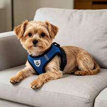 Anti-Pull Reflective Dog Harness 4-In-1 Set, Soft Breathable Mesh Adjustable Pet Vest With Leash, Includes Bell And Flower Hair Clip, Suitable For Small Dogs, Puppies, Kittens, Yorkshire Terrier, Chihuahua - Multicolor - View 8