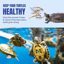 Amzey 2.3 Oz Dried River Fish - Natural Food For Turtles, Terrapins, Reptiles And Large Tropical Fish - ColorB - View 4