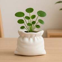 1個 3D列印花盆，適用於室內植物，現代裝飾性花盆，帶紋理設計，適合和平百合、多肉植物和小型室內綠植，居家與辦公室桌面使用 - default - 查看 1