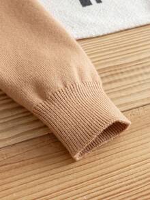 Boys' College Style Colorblock Striped Polo Collar Half-Zip Long Sleeve Sweater Knit Pullover, Casual Versatile For Daily Wear, School, Spring, Autumn, Winter - Brown - View 6