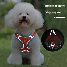 Retractable Leashes - Red - View 1