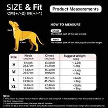 Anti-Pull Reflective Dog Harness 4-In-1 Set, Soft Breathable Mesh Adjustable Pet Vest With Leash, Includes Bell And Flower Hair Clip, Suitable For Small Dogs, Puppies, Kittens, Yorkshire Terrier, Chihuahua - Multicolor - View 4