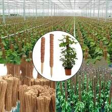 30cm 40cm 50cm Vine Clips Coconut Fiber Totem Pole Plant Climbing Support, For Climbing Plants And Vining Plants - A - View 4