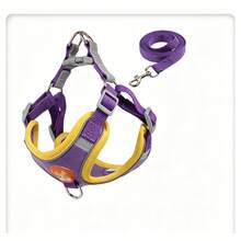 Retractable Leashes - Purple - View 9