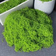 人造苔蘚墊,仿真綠色植物墊,逼真的人造綠植牆面與桌面裝飾,耐用尼龍人造植物,免維護仿真苔蘚片,適用於居家、微景觀、聖誕節、婚禮派對與花園背景裝飾 - 草皮 - 查看 19