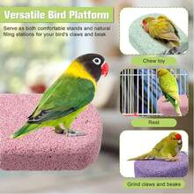 Vogelschnabel-Schleifstein Kauspielzeug Papagei Kalzium-Sitzstange Vogel-Stehplattform Käfigzubehör geeignet für Wellensittiche, Nymphensittiche, Unzertrennliche, Kanarienvögel - Verschiedenfarbig - Übersicht 9