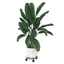Juego de 2 carros metálicos para plantas de 30 cm – Soporte resistente para macetas con ruedas giratorias de 360° y freno bloqueable, carrito de hierro con ruedas para plantas, ideal para interiores, balcones y jardines, color negro. - Redonda de 30 cm - Ver 9