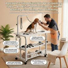 Pet Grooming - View 9