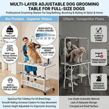 Pet Grooming - View 11