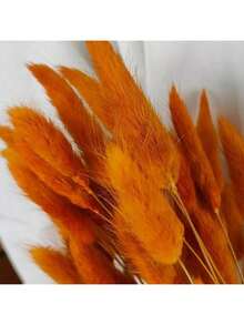 60pcs 16.5 Inch Artificial Red Bunny Tails, Home Decor Fake Bunny Tails Stems, Suitable For Boho Floral Arrangements, DIY Crafts, Home Kitchen And Wedding Decor, Christmas, Thanksgiving, Wreath Making - Burnt Orange - View 2