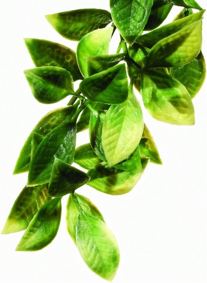 Exo Terra Plastic Terrarium Plant, Small, Mandarin - White - View 1