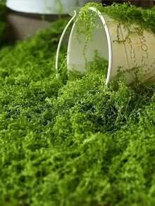 300g/10.58oz 40g Artificial Moss Lawn Fake Moss Micro Landscape Decoration Green Plant Lawn Potted Plant Window Sill Decor Landscape Design - Multiple Styles - View 4