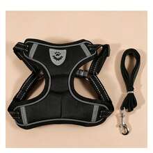 Retractable Leashes - Black - View 9