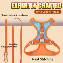 New Soft & Lightweight Step-In Dog Harness, Breathable Mesh Pet Chest Strap With Reflective Safety, Convenient For Walking Small Dogs & Cats Outdoor(Dog Harness Small Dog,Christmas, Halloween,Fall Home Decor) - Multicolor - View 8