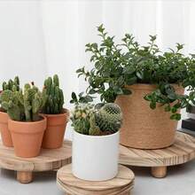 木製底座裝飾 木製多肉植物底座花盆架 浴室皂盤 木製托盤底座 - 3pc - 查看 1