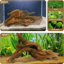 3pcs Wood Aquarium Driftwood Suitable For Fish Tank & Reptile Terrarium, Fast-Sinking Branches With Assorted Lengths, Shrimp, Snails, Aquascaping Decor For Fish Tanks And Reptile Habitat - 3 Pcs - View 7