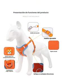Retractable Leashes - Red - View 7