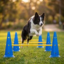 CENLEN 6 Training Cones With 50cm Diameter And Perforated Openings And 3 1.2-Meter Adjustable Portable Training Poles. Dog Agility Training Set, Perforated Obstacle Barrel Hurdle Frame, Indoor And Outdoor Agility Training Kit. - Yellow - View 4