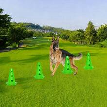 CENLEN 6 Hexagonal Training Cones With Holes, Each 23cm In Diameter, And 3 1-Meter Assembly-Ready Portable Training Poles. This Is A Dog Agility Training Set, Including A Perforated Obstacle Barrel Hurdle Frame And An Indoor/Outdoor Agility Training Kit. - Green - View 2