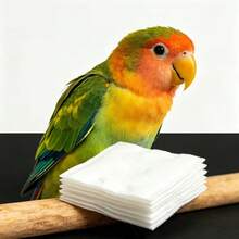 150片鳥類尿布，鸚鵡排泄墊，鳥類訓練墊，適用於寵物鳥 - 一次性鳥類尿布內襯 - 多色 - 查看 2