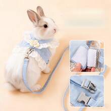 2PCS Cute Rabbit Harness Set With Leash, Soft Breathable Adjustable Bunny Vest For Small Pets Walking Outdoor, Cute Pet Outfit Set - XL - View 3