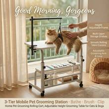 Pet Grooming - View 8