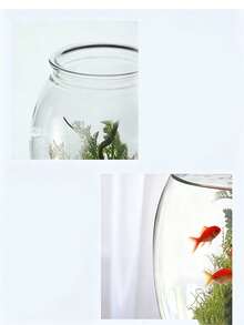 Transparent Plastic Fish Bowl Aquarium, Mini Betta Fish Habitat, Desktop Water Landscape Ecosystem Tank, Home Living Room Desktop Decor, Aquatic Plant Landscape Container - Multicolor - View 4