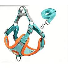 Retractable Leashes - Blue - View 2