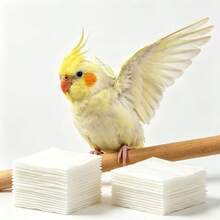 150片鳥類尿布，鸚鵡排泄墊，鳥類訓練墊，適用於寵物鳥 - 一次性鳥類尿布內襯 - 多色 - 查看 4