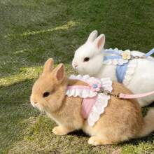 2PCS Cute Rabbit Harness Set With Leash, Soft Breathable Adjustable Bunny Vest For Small Pets Walking Outdoor, Cute Pet Outfit Set - XL - View 1