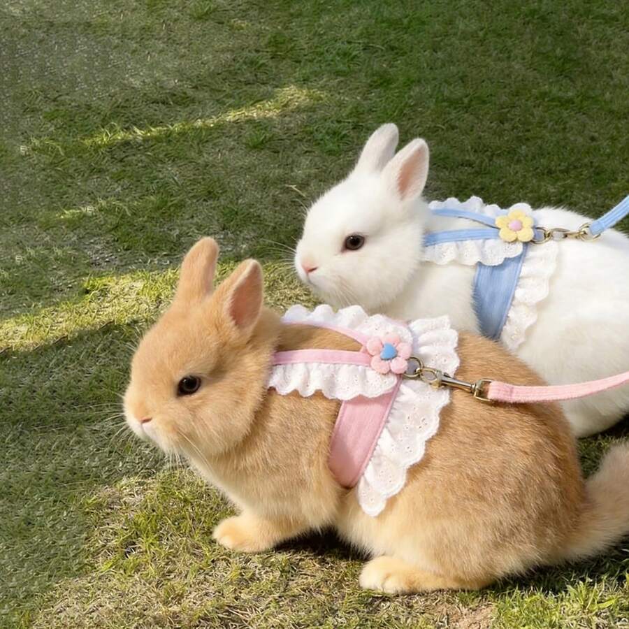 2PCS Cute Rabbit Harness Set With Leash, Soft Breathable Adjustable Bunny Vest For Small Pets Walking Outdoor, Cute Pet Outfit Set - XL - View 1