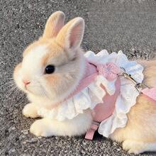2PCS Cute Rabbit Harness Set With Leash, Soft Breathable Adjustable Bunny Vest For Small Pets Walking Outdoor, Cute Pet Outfit Set - XL - View 2