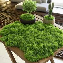 300g/10.58oz 40g Artificial Moss Lawn Fake Moss Micro Landscape Decoration Green Plant Lawn Potted Plant Window Sill Decor Landscape Design - Multiple Styles - View 2