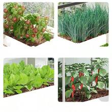 Multi-Tier Balcony Vegetable Planter, Modular Planting System, Rooftop Vegetable Rack, Berry Pot, Indoor Flower Stand - Three-story Grade a [Balcony Vegetable Gardening] - View 4