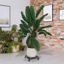 Metal Plant Trolley Set Of 2 30cm – Heavy Duty Flower Pot Stand With 360° Swivel Wheels & Lockable Brake, Iron Rolling Plant Caddy For Indoor Balcony Garden Use, Black - Square 30cm - View 5